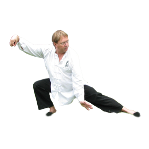 Fin des DVD / Place à la VOD